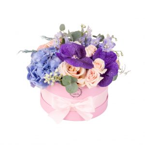 Happy Box mov cu albastru